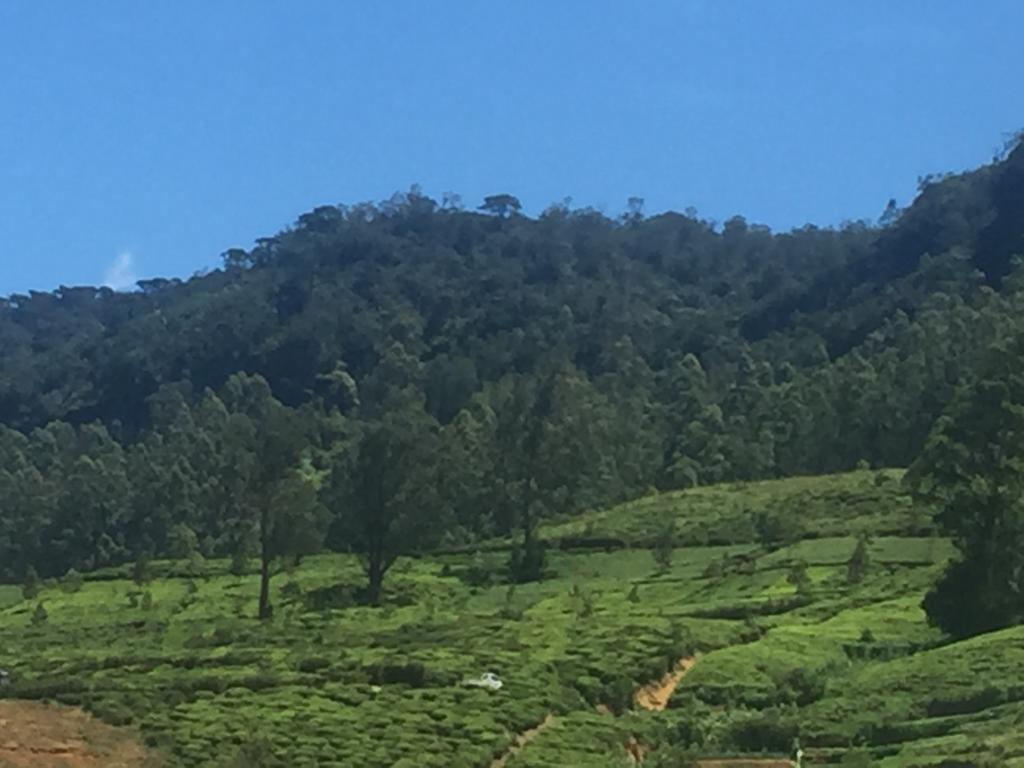 Perera Homestay Nuwara Eliya Exterior foto